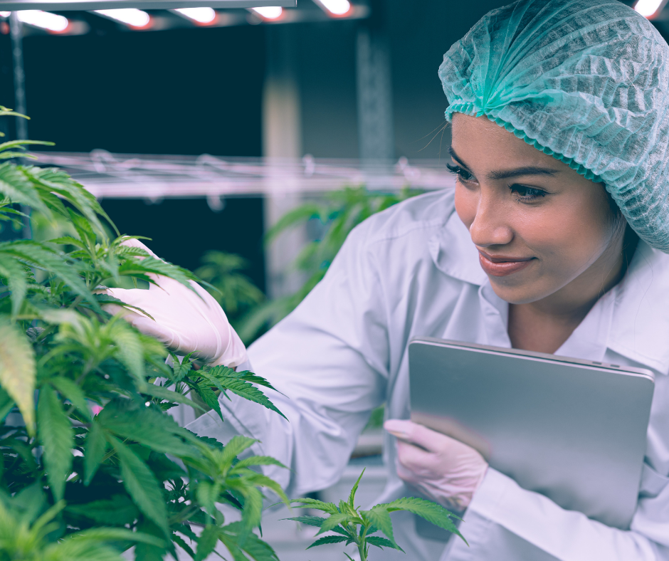 The Medical Cannabis Industry Executive Committee congratulates two of its members on being granted a license by the Malta Medicines Authority